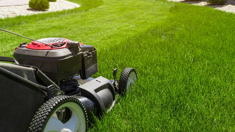 Mowing a Lawn