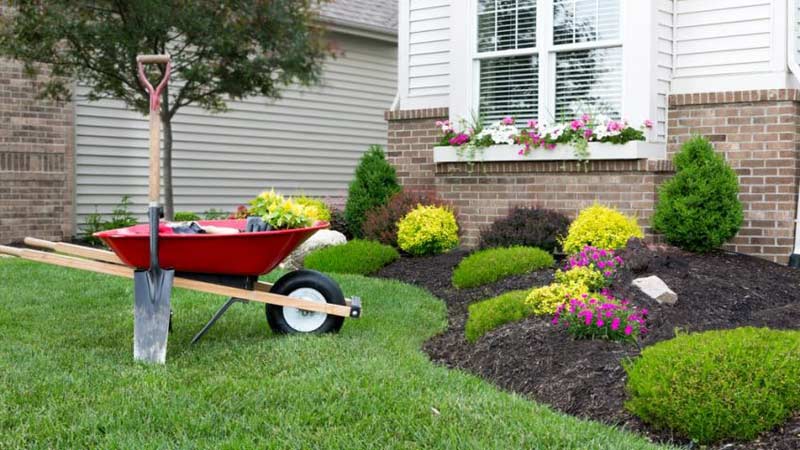 5 Reasons to Start Landscaping Today – Fairfield Lake Marion Realty